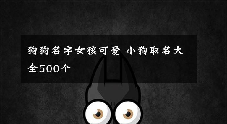 狗狗名字女孩可爱 小狗取名大全500个