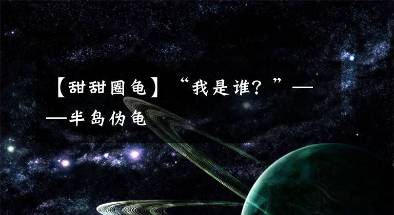 【甜甜圈龟】“我是谁？”——半岛伪龟