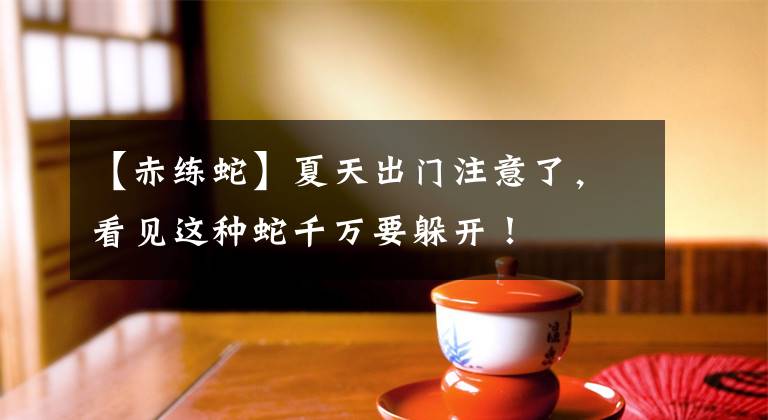 【赤练蛇】夏天出门注意了，看见这种蛇千万要躲开！