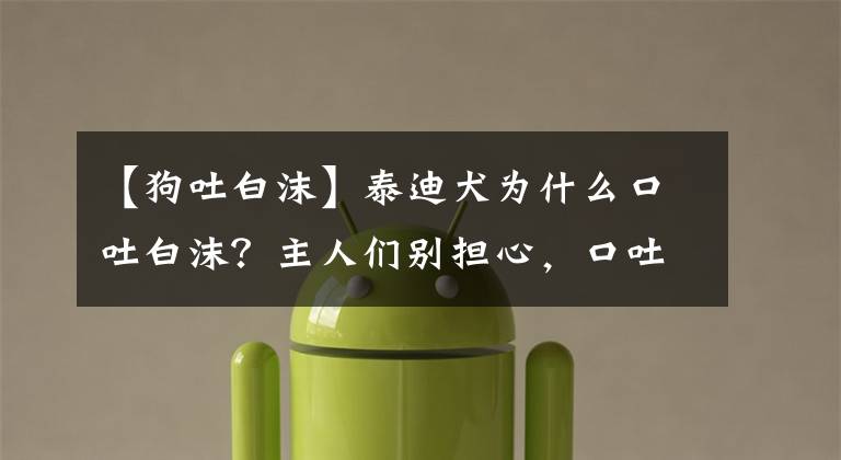 【狗吐白沫】泰迪犬为什么口吐白沫？主人们别担心，口吐白沫可能是这些原因