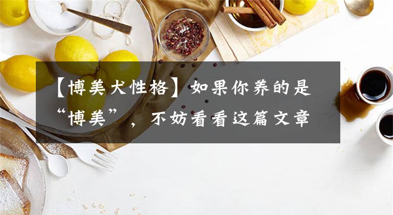 【博美犬性格】如果你养的是“博美”,不妨看看这篇文章,或许能收获很多