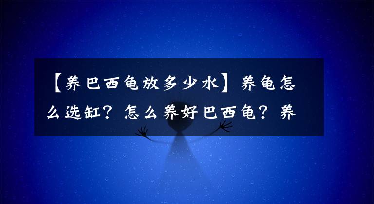 【养巴西龟放多少水】养龟怎么选缸？怎么养好巴西龟？养龟6件套你一个都不能少