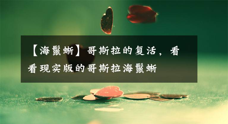 【海鬣蜥】哥斯拉的复活，看看现实版的哥斯拉海鬣蜥