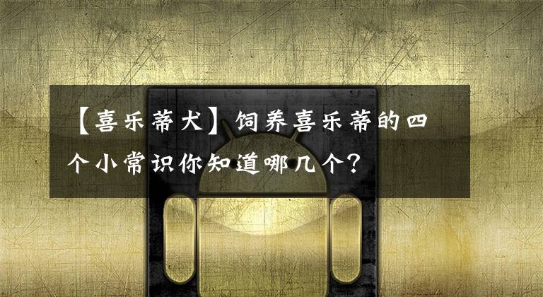 【喜乐蒂犬】饲养喜乐蒂的四个小常识你知道哪几个?