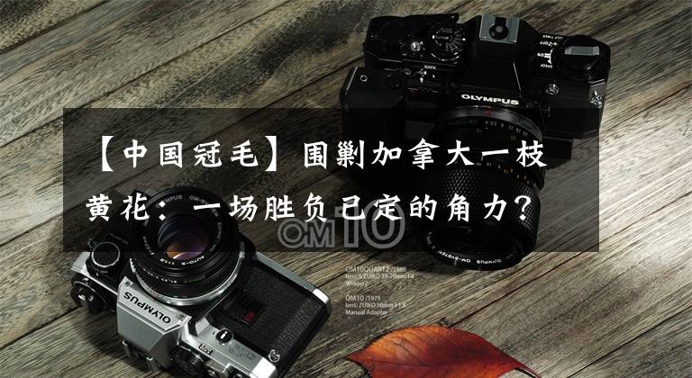 【中国冠毛】围剿加拿大一枝黄花:一场胜负已定的角力?