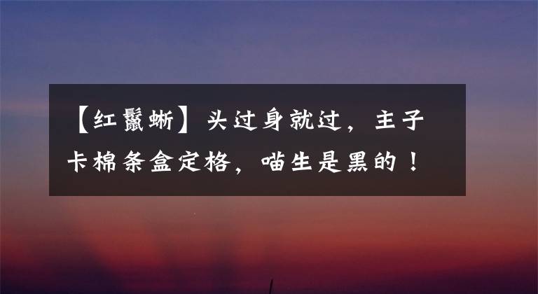 【红鬣蜥】头过身就过,主子卡棉条盒定格,喵生是黑的!