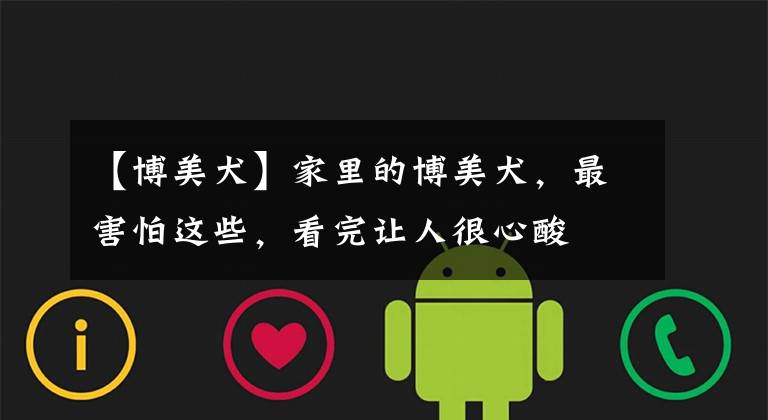 【博美犬】家里的博美犬,最害怕这些,看完让人很心酸