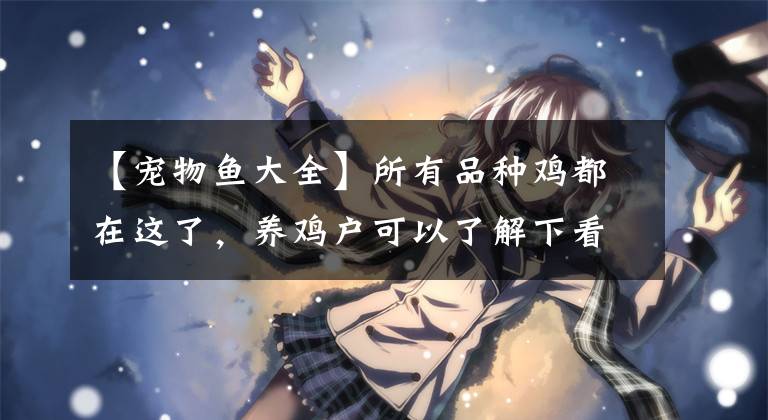 【宠物鱼大全】所有品种鸡都在这了,养鸡户可以了解下看看有你认识的吗?