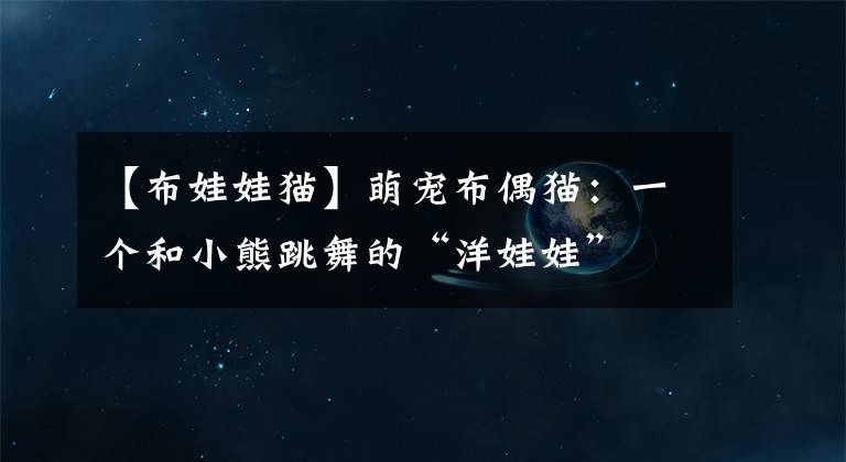 【布娃娃猫】萌宠布偶猫:一个和小熊跳舞的“洋娃娃”