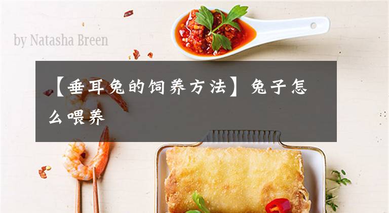 【垂耳兔的饲养方法】兔子怎么喂养