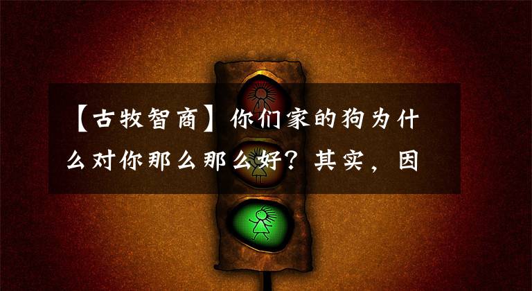 【古牧智商】你们家的狗为什么对你那么那么好？其实，因为它有“病”啊！