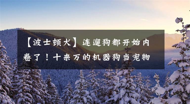 【波士顿犬】连遛狗都开始内卷了！十来万的机器狗当宠物，你才是真的“狗”