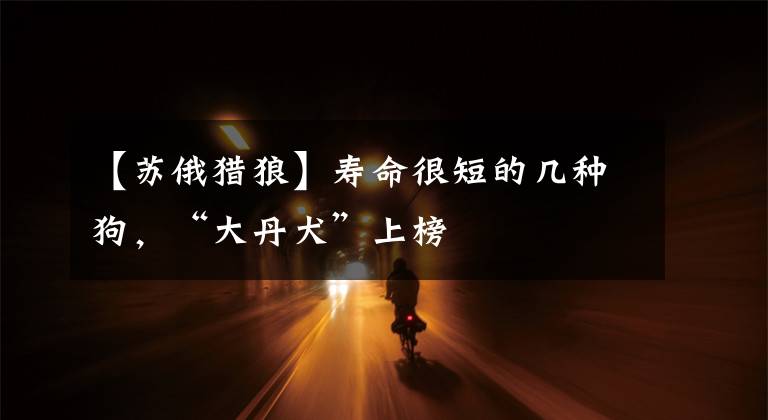 【苏俄猎狼】寿命很短的几种狗，“大丹犬”上榜