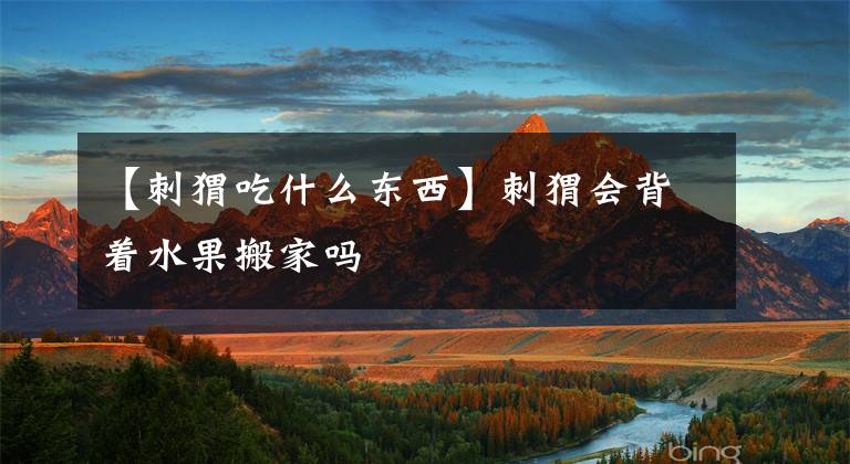 【刺猬吃什么东西】刺猬会背着水果搬家吗