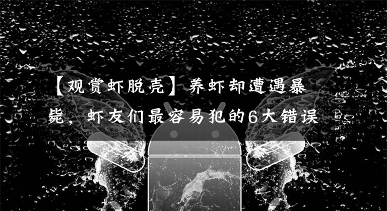【观赏虾脱壳】养虾却遭遇暴毙，虾友们最容易犯的6大错误，你也错了吗？