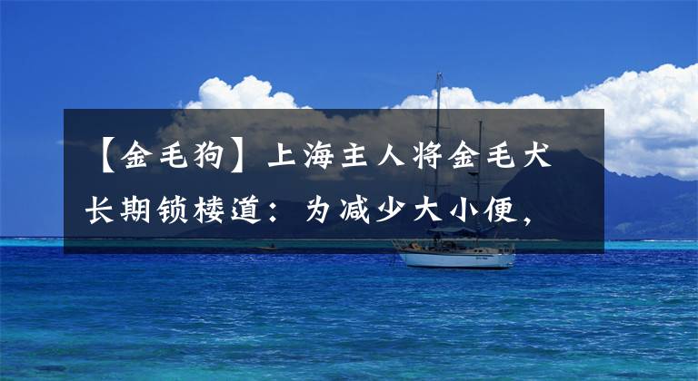 【金毛狗】上海主人将金毛犬长期锁楼道：为减少大小便，不允许邻居喂食喂水