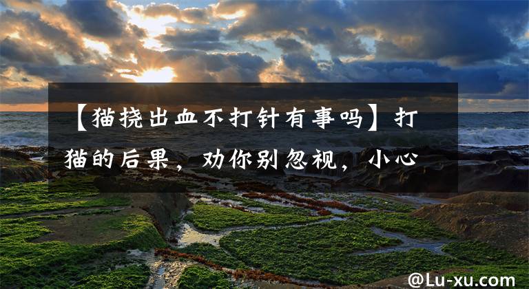 【猫挠出血不打针有事吗】打猫的后果，劝你别忽视，小心它偷袭你