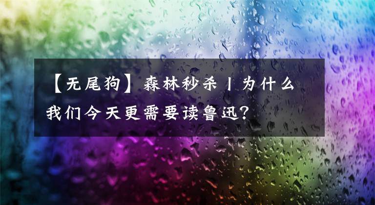 【无尾狗】森林秒杀丨为什么我们今天更需要读鲁迅?