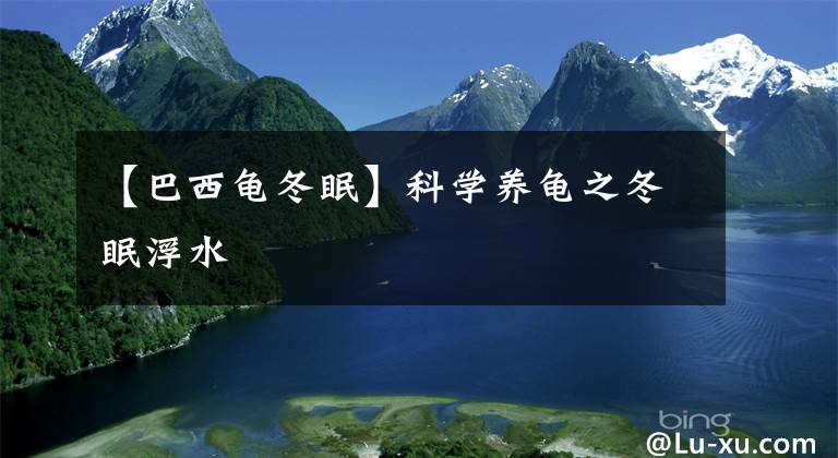 【巴西龟冬眠】科学养龟之冬眠浮水