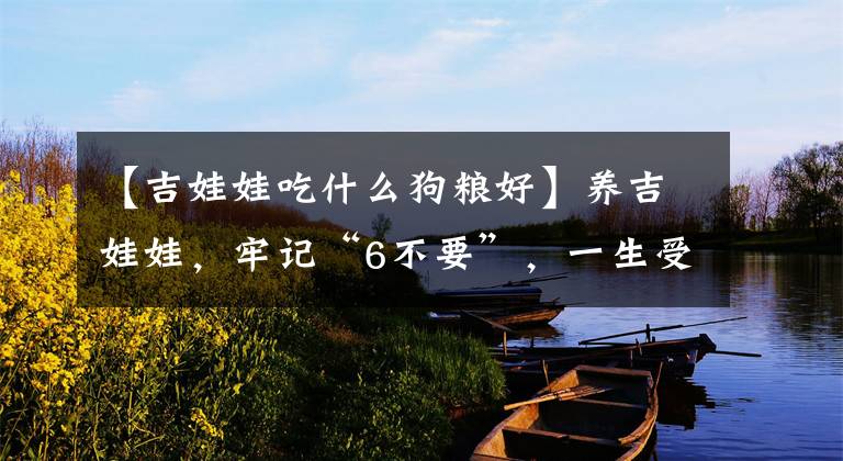 【吉娃娃吃什么狗粮好】养吉娃娃，牢记“6不要”，一生受益