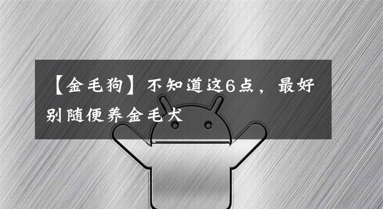 【金毛狗】不知道这6点，最好别随便养金毛犬