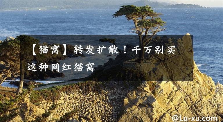 【猫窝】转发扩散！千万别买这种网红猫窝