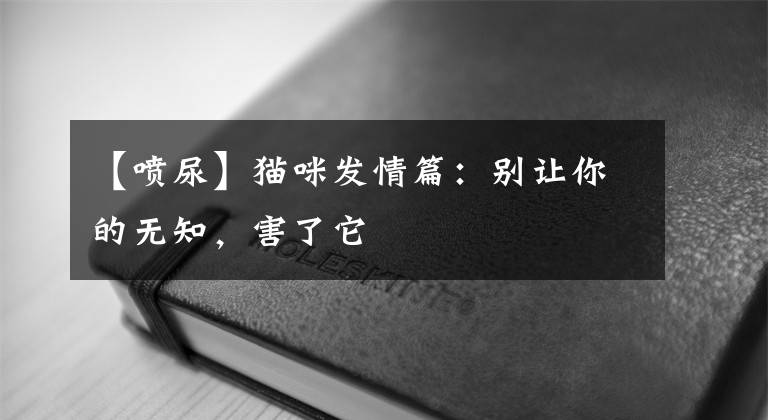 【喷尿】猫咪发情篇：别让你的无知，害了它