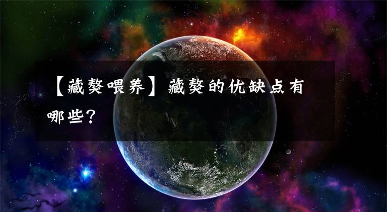 【藏獒喂养】藏獒的优缺点有哪些？