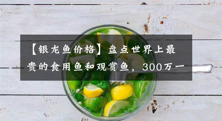 【银龙鱼价格】盘点世界上最贵的食用鱼和观赏鱼，300万一条的鱼你吃过没？