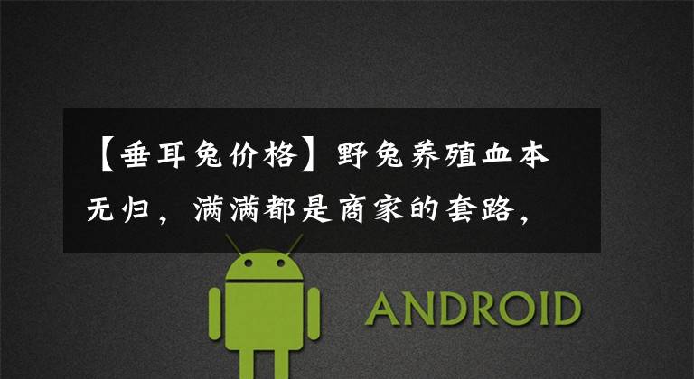 【垂耳兔价格】野兔养殖血本无归,满满都是商家的套路,让人防不胜防