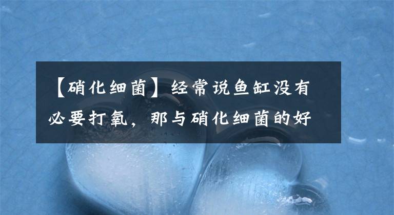 【硝化细菌】经常说鱼缸没有必要打氧，那与硝化细菌的好氧性，是否有矛盾呢？
