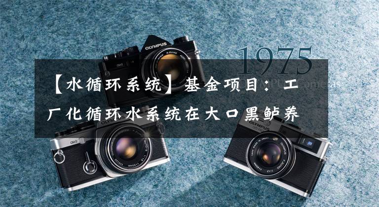 【水循环系统】基金项目：工厂化循环水系统在大口黑鲈养殖中的应用