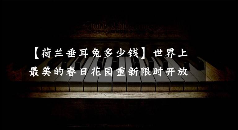 【荷兰垂耳兔多少钱】世界上最美的春日花园重新限时开放！请收下这份带着香气的攻略
