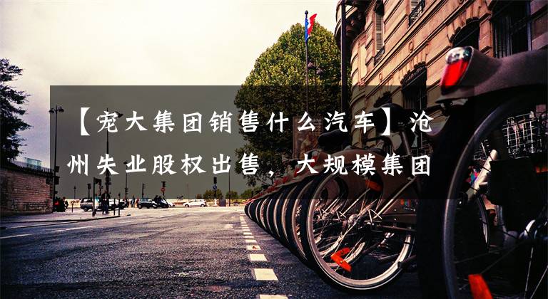 【宠大集团销售什么汽车】沧州失业股权出售,大规模集团出售,资产频繁出售“自助”
