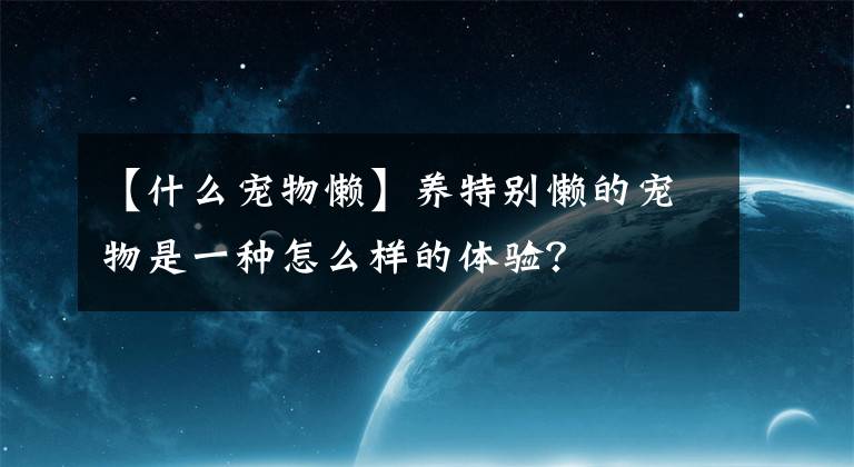 【什么宠物懒】养特别懒的宠物是一种怎么样的体验？