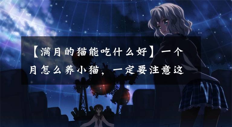 【满月的猫能吃什么好】一个月怎么养小猫,一定要注意这几点