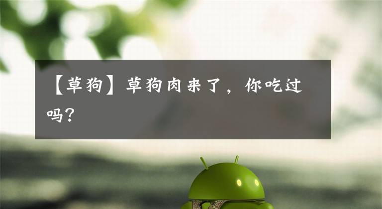 【草狗】草狗肉来了，你吃过吗？