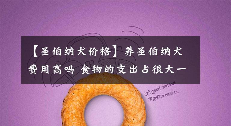 【圣伯纳犬价格】养圣伯纳犬费用高吗 食物的支出占很大一部分