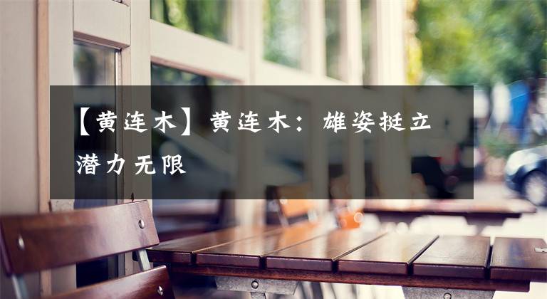 【黄连木】黄连木：雄姿挺立 潜力无限