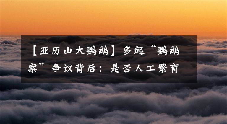 【亚历山大鹦鹉】多起“鹦鹉案”争议背后：是否人工繁育成量刑重要考量
