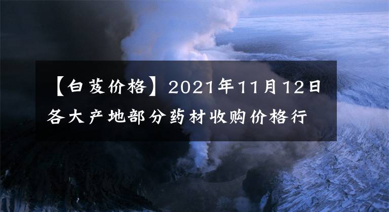【白芨价格】2021年11月12日各大产地部分药材收购价格行情