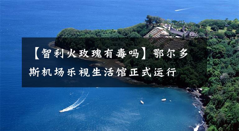 【智利火玫瑰有毒吗】鄂尔多斯机场乐视生活馆正式运行