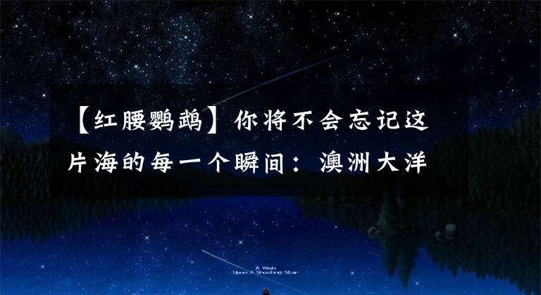 【红腰鹦鹉】你将不会忘记这片海的每一个瞬间：澳洲大洋路马拉松8天7晚跑步旅行团