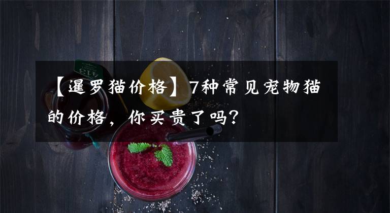 【暹罗猫价格】7种常见宠物猫的价格，你买贵了吗？