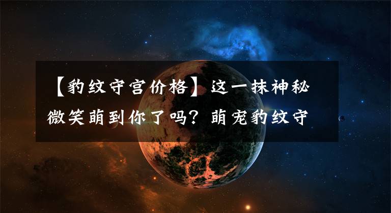【豹纹守宫价格】这一抹神秘微笑萌到你了吗？萌宠豹纹守宫首次在嘉兴出口