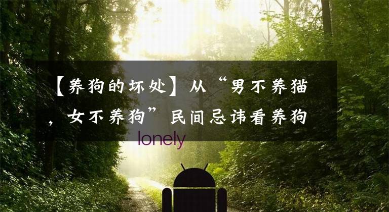 【养狗的坏处】从“男不养猫,女不养狗”民间忌讳看养狗的真实祸患