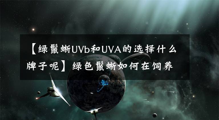 【绿鬣蜥UVb和UVA的选择什么牌子呢】绿色鬣蜥如何在饲养时给与更大的空间?
