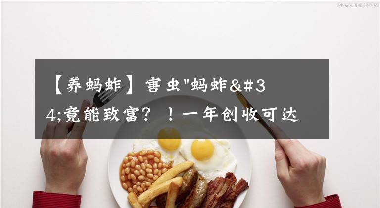 【养蚂蚱】害虫"蚂蚱"竟能致富？！一年创收可达上百万！