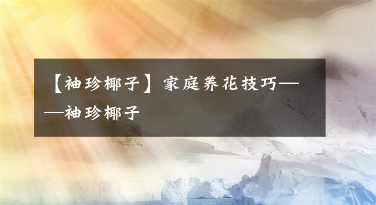 【袖珍椰子】家庭养花技巧——袖珍椰子
