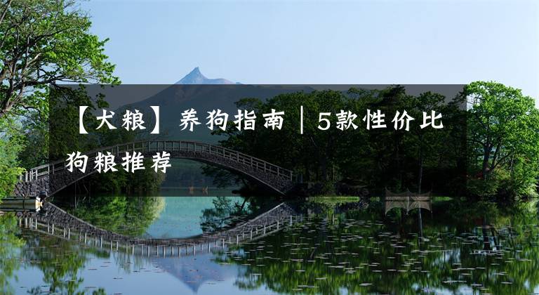 【犬粮】养狗指南|5款性价比狗粮推荐
